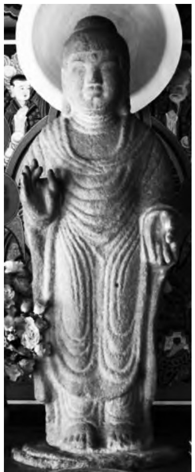 도6