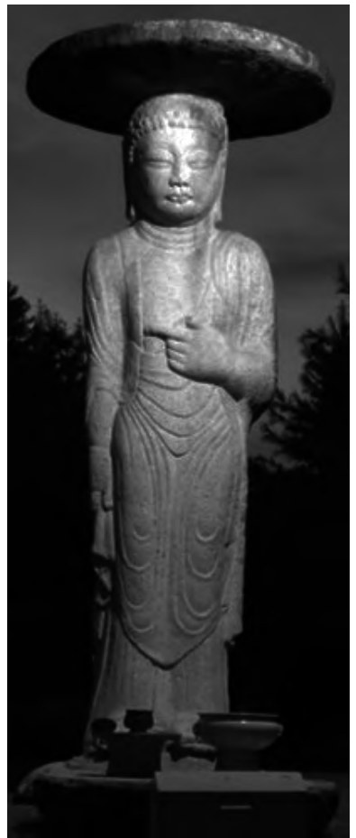 도7