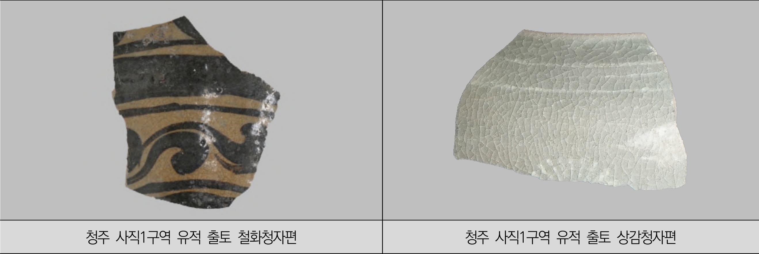 [사진 12]