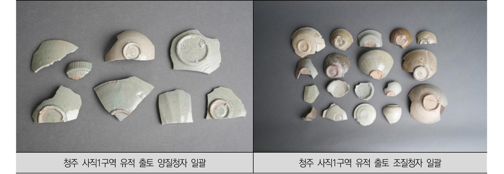 [사진 13]
