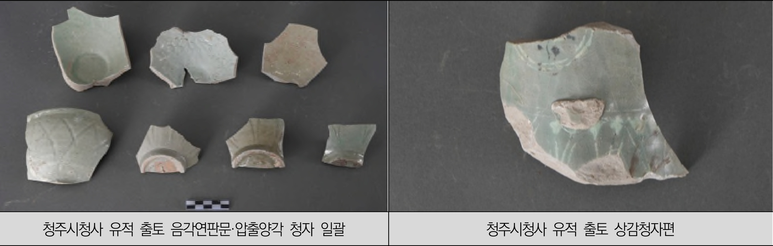 [사진 14]